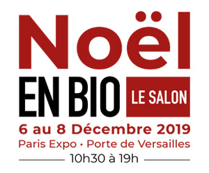 Logo salon Noël en Bio 2019